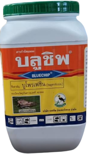 บลูชิพนกเงือก500G